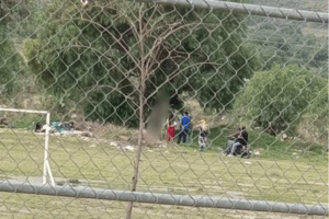 Autoridades confirman hallazgo de hombre colgado de un árbol en Pedregal