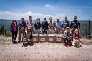 La rehabilitación de fauna silvestre en Pachuca permitió que 11 ejemplares regresaran a su entorno natural en Metztitlán
