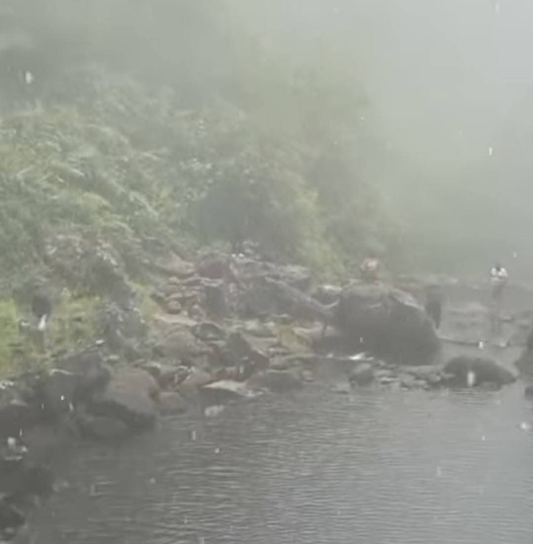 Derrumbes y desprendimientos fueron reportados tras las intensas lluvias