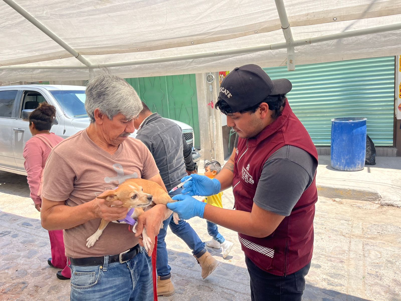 En una jornada reciente, personal especializado instaló un módulo fijo en la comunidad, logrando la aplicación de más de 210 dosis a perros y gatos de las familias locales