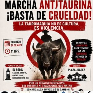 Hidalgo sin crueldad: marcha antitaurina recorrerá las calles de Pachuca