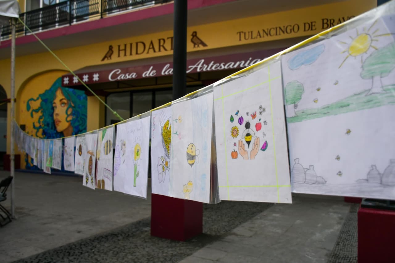 La actual administración mantiene una labor permanente para el manejo responsable y reubicación de enjambres hacia apiarios locales