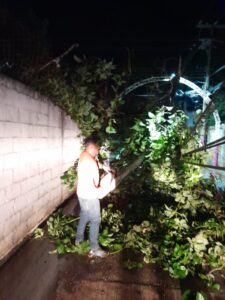 La fuerte tormenta registrada en la Huasteca hidalguense dejó árboles caídos, postes derribados y cortes de energía eléctrica en colonias de Huejutla y comunidades de San Felipe Orizatlán