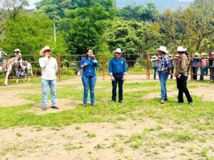 Militantes participan en diálogo con la dirigencia estatal de Nueva Alianza Hidalgo, reforzando vínculos locales