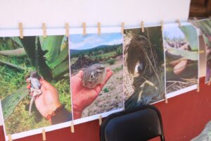 Habitantes de San Joaquín, en el municipio de Tecozautla, denunciaron que apenas recientemente conocieron los alcances del proyecto fotovoltaico