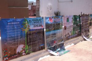 De acuerdo con activistas ambientales, el proyecto de energía solar requeriría el cambio de uso de suelo en más de 200 hectáreas de vegetación forestal