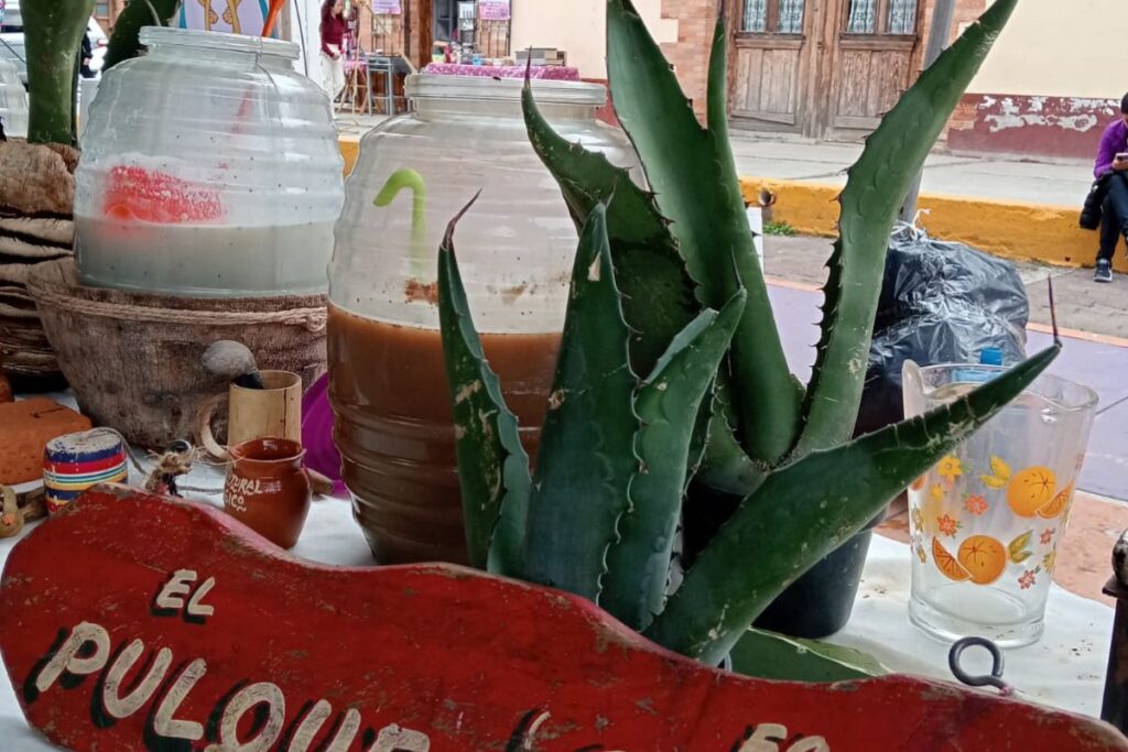 Mario Maguey: El tlachiquero que preserva la identidad y la cultura de Epazoyucan