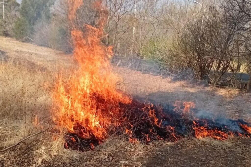 Por las altas temperaturas en Yahualica, autoridades piden respetar la veda de quemas agrícolas