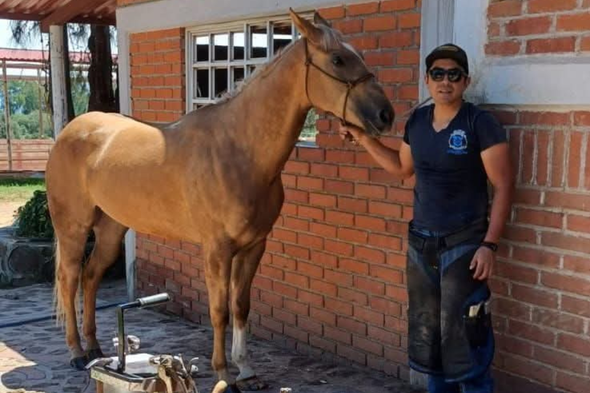 El herrero comenzó en la labor junto a su padre, quien se formó en el Hipódromo de las Américas | Foto: Martha Sáenz