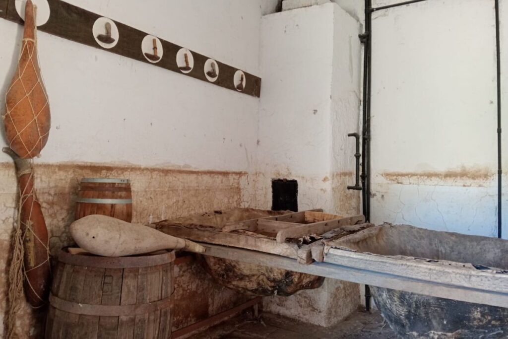 El pulque de Zempoala: Una tradición milenaria y un patrimonio cultural e histórico