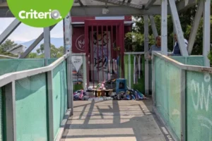 Los elevadores instalados en puentes del Tuzobús no están en operaciónFoto: Archivo