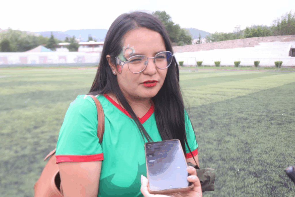 La titular del IHM, Katya Hernández Pérez, informó sobre el aumento de atenciones por violencia familiar