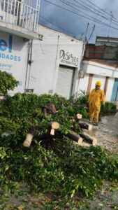 Una persona resultó lesionada tras el colapso de una estructura en la plaza central del municipio