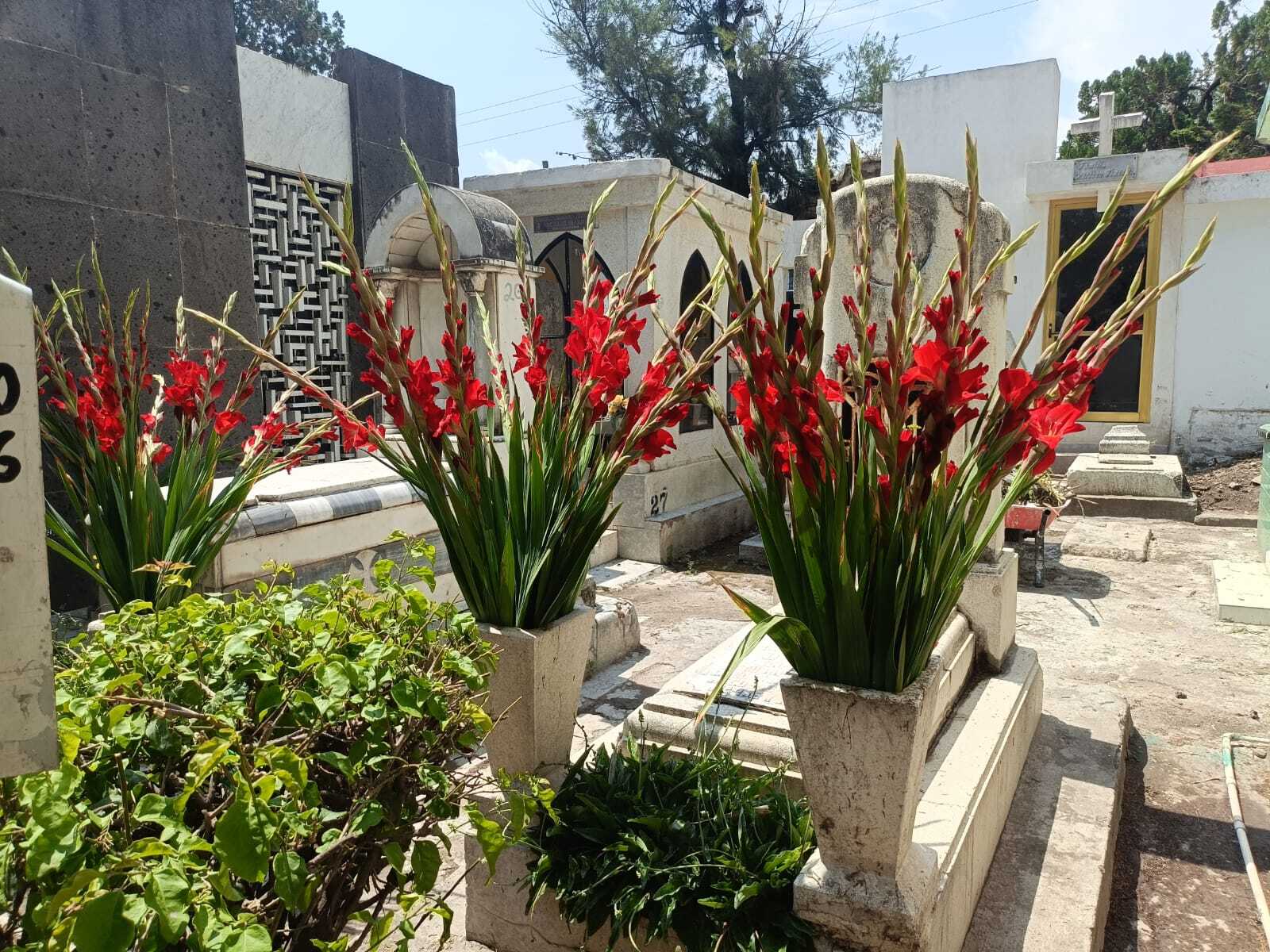 El emotivo acto tendrá lugar en las instalaciones del Cementerio San Miguel, uno de los espacios con mayor significado histórico y emocional para miles de familias