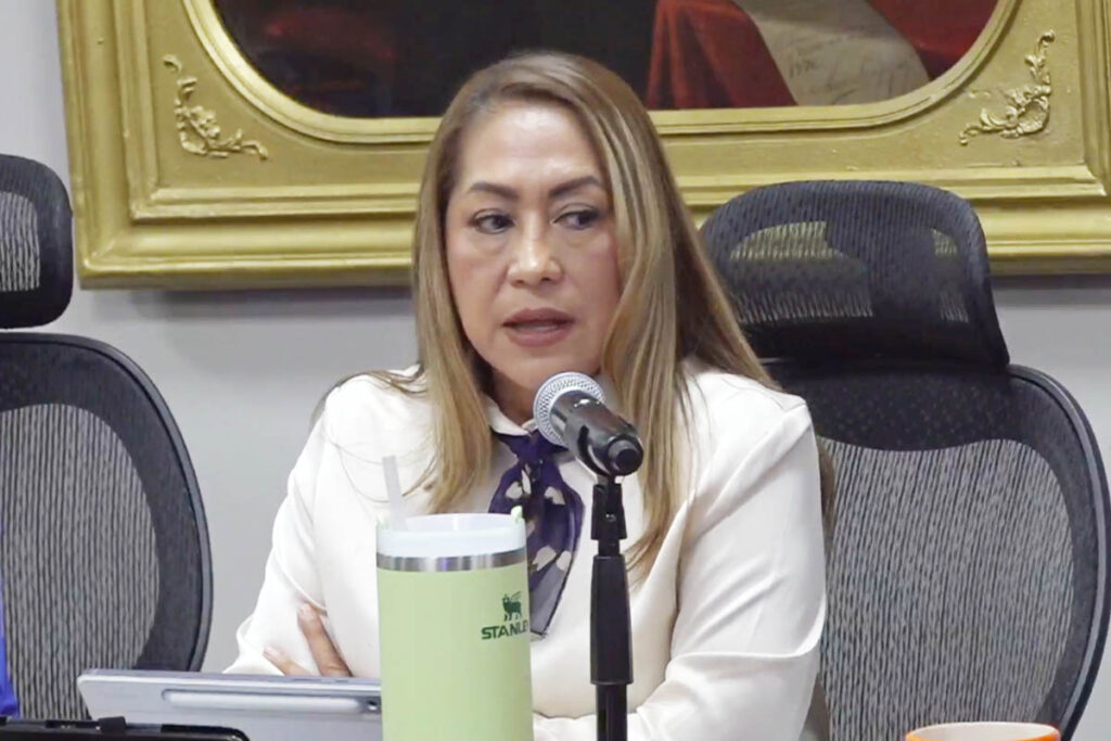 La diputada Guadalupe Cruz Montaño, del Partido Verde Ecologista de México (PVEM), presentó una iniciativa para reformar el Código Penal estatal | Foto: Especial