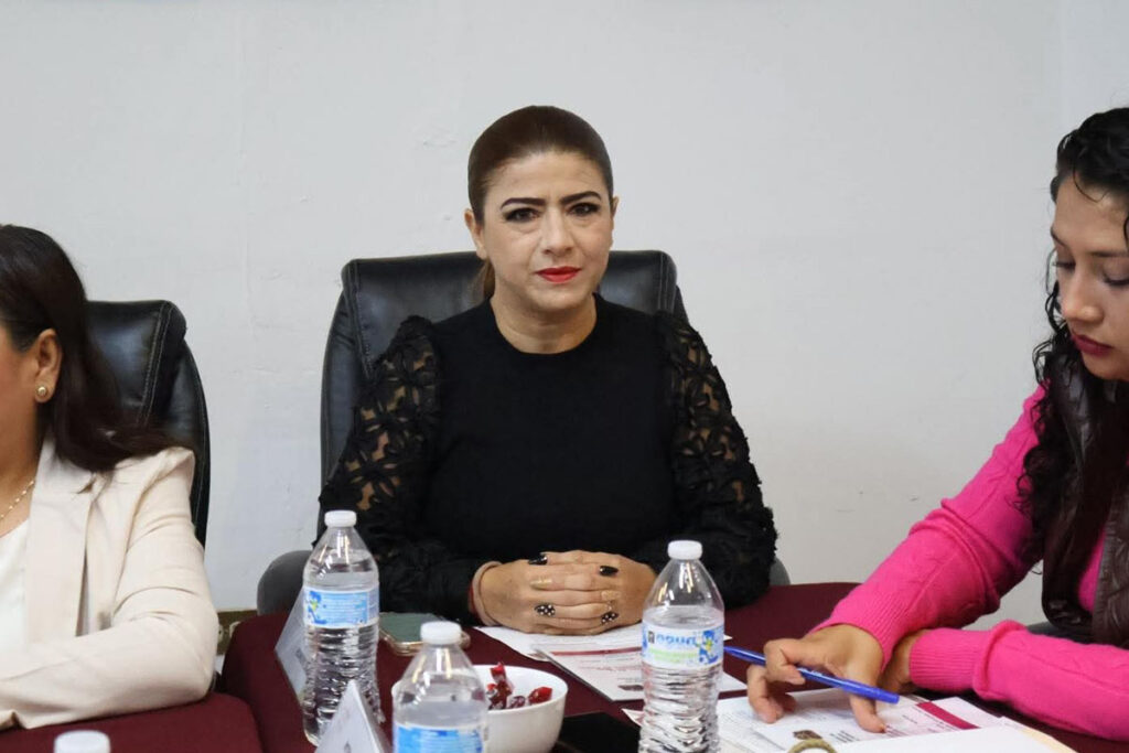 Jocelyn Joyce Romero Barranco advirtió que, ante el posible desplome de una de las aulas, el alumnado toma clases en línea | Foto: Especial