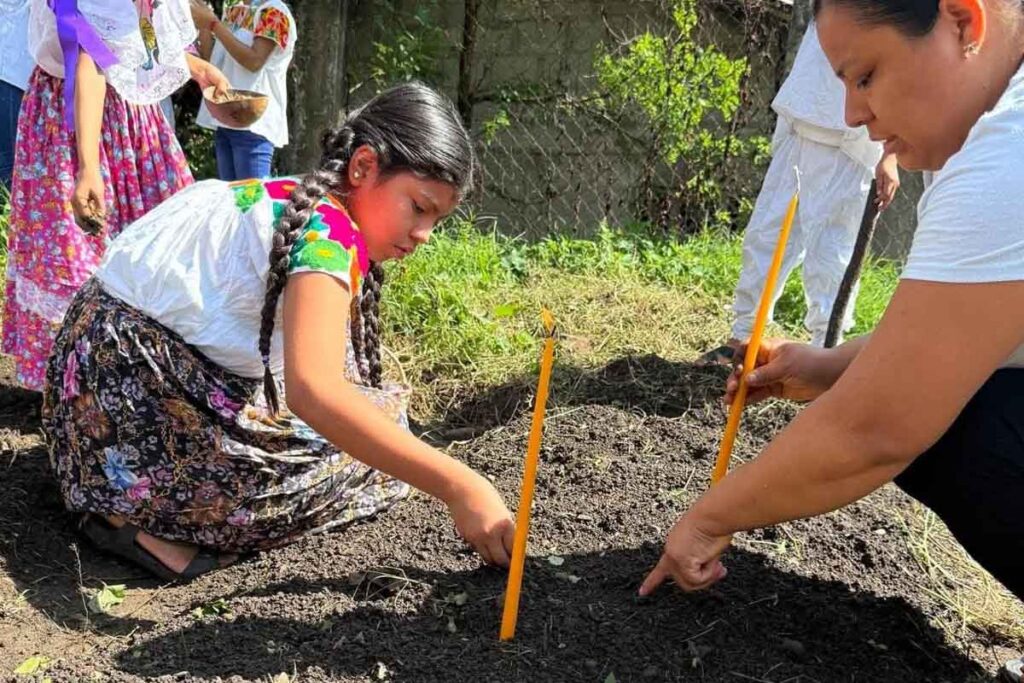 De acuerdo con la investigadora, los rituales de la siembra del cempasúchil están vinculados al agua y a la tierra | Foto: Especial
