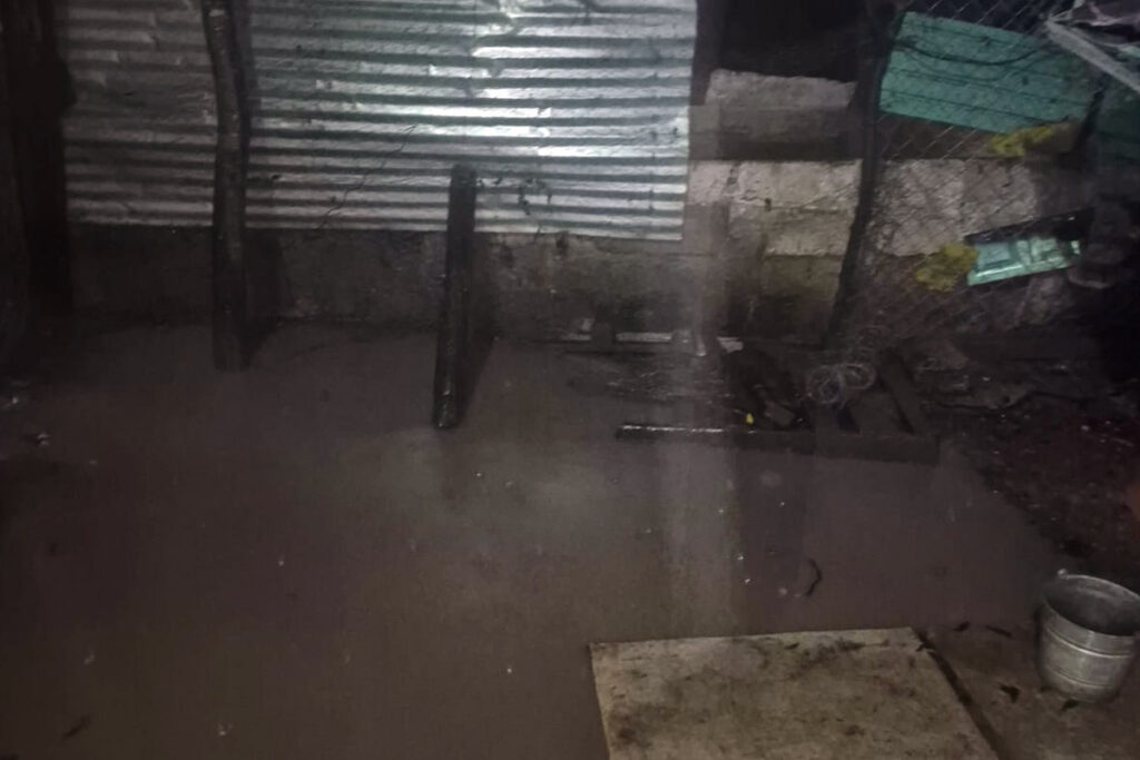 En algunas zonas del albergue se estanca el agua, lo que provoca que los perros enfermen | Foto: Especial