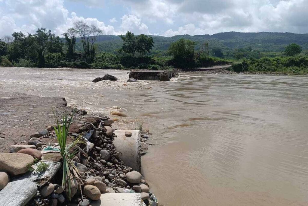 Tras las intensas lluvias registradas en los últimos días y el incremento del caudal del río, decenas de estos peces aparecieron muertos | Foto: Especial