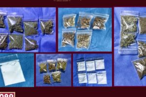Además del hallazgo de unidades y autopartes, las autoridades reportaron el aseguramiento de 243 dosis de presunta droga