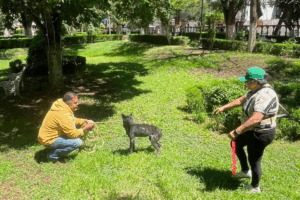 Rescatistas de Hidalgo atendieron el caso de tres perros abandonados en el centro de Atotonilco el Grande, donde vecinos reportaron que los animales presentaban condiciones delicadas