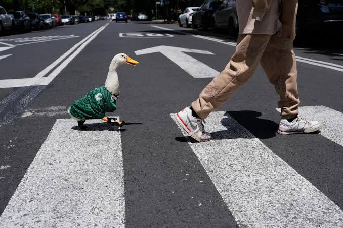 Pato Merlín durante su aparición viral en celebraciones recientes
