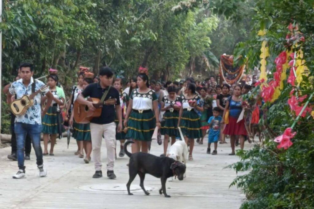 Peregrino y Güero, dos perros en situación de calle, se han convertido en parte de las celebraciones religiosas de la región | Foto: Especial