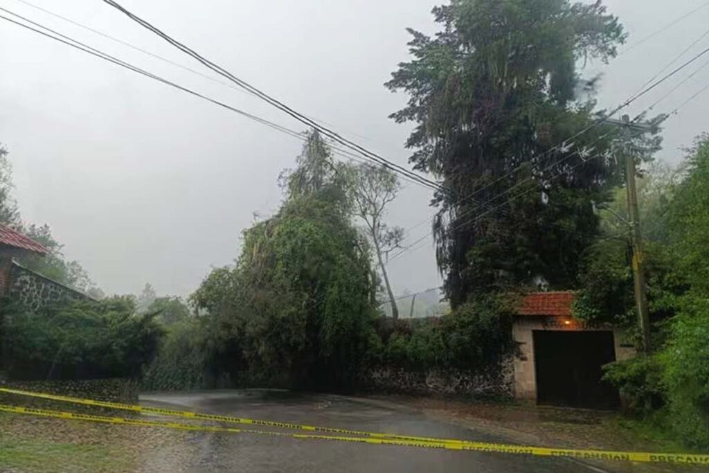 Se notificó de manera inmediata a la Comisión Federal de Electricidad (CFE), a fin de que personal especializado realice las labores necesarias | Foto: Especial