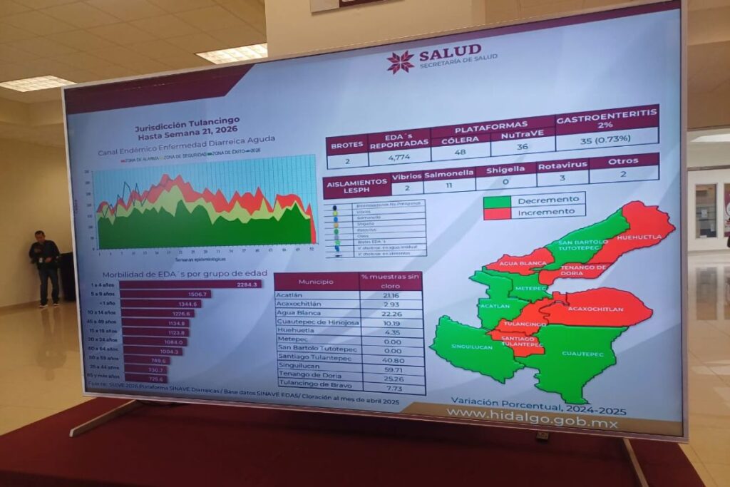 Pantalla que muestra las estadísticas de las enfermedades diarreicas en la región Tulancingo
