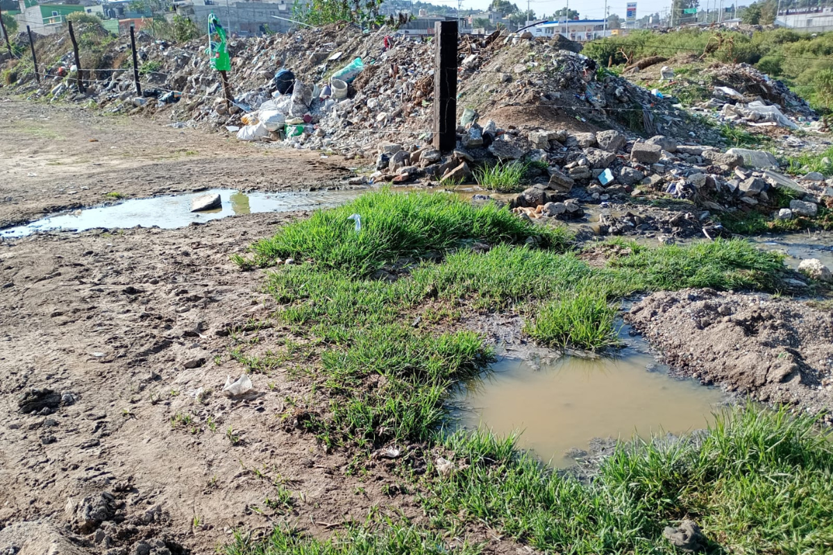 La presencia de desechos ocasiona que el agua residual se estanque y represente un foco de contaminación | Foto: Antonieta Islas