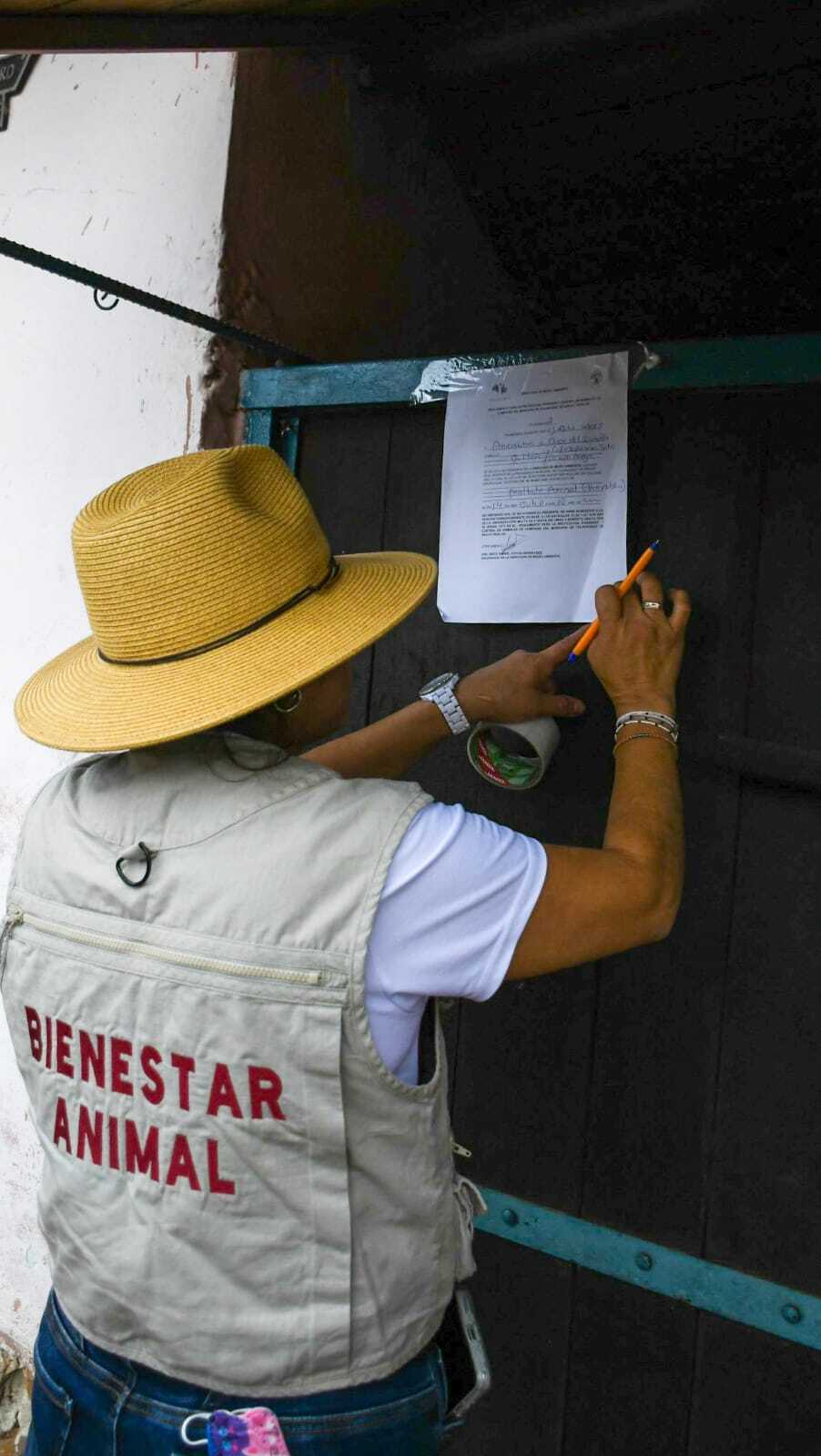 Tulancingo atendió reportes ciudadanos relacionados con posibles casos de maltrato animal durante 2026
