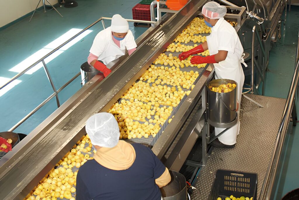 Interior de una planta de la Cooperativa Pascual en Hidalgo