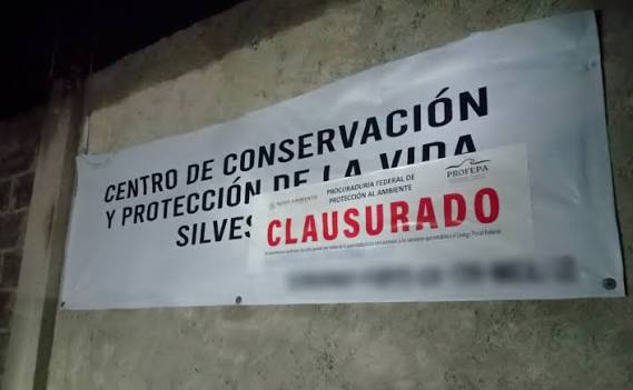 Animal Experience quedó bajo clausura total temporal tras el escape del tigre Kenzo