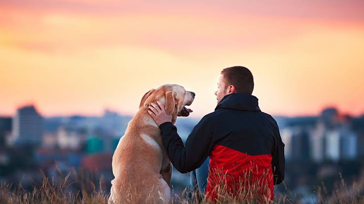 Familias alrededor del mundo celebran el Día Mundial del Perro junto a sus mascotas